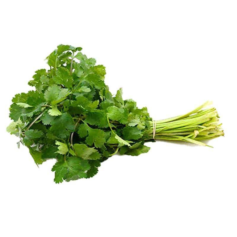 Coriander Leaves