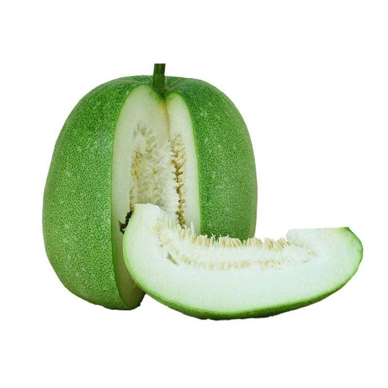 Ash Gourd