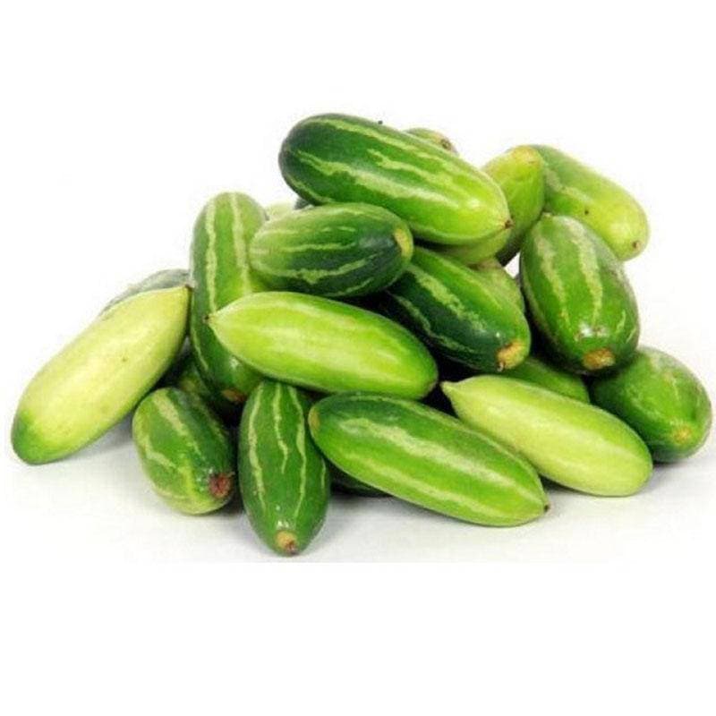 Ivy Gourd