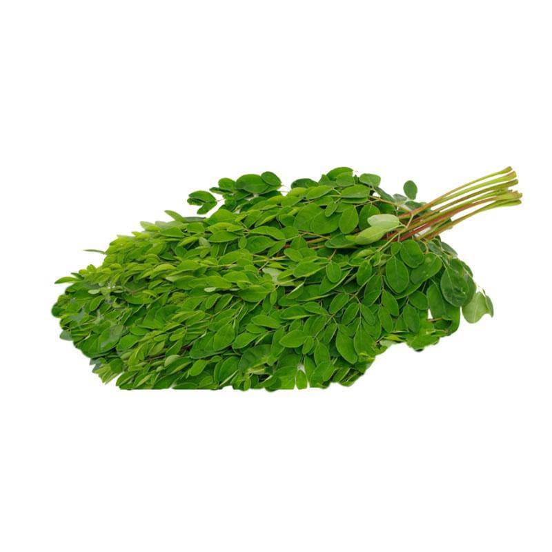 Drumsticks Leaves