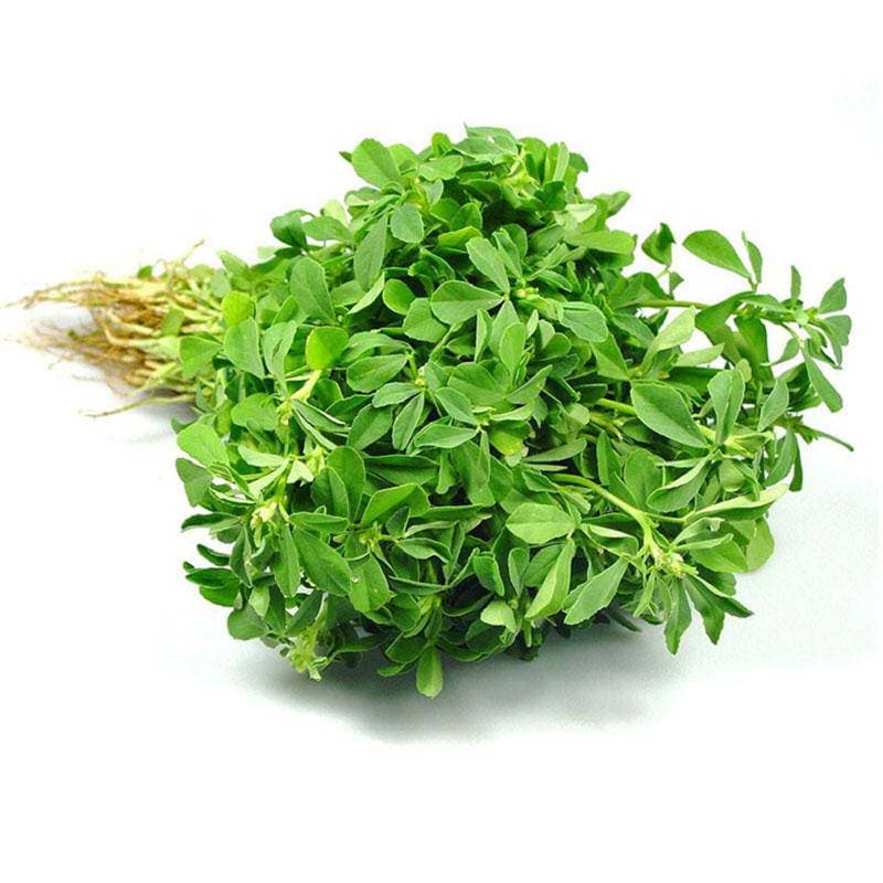 Methi Leaves