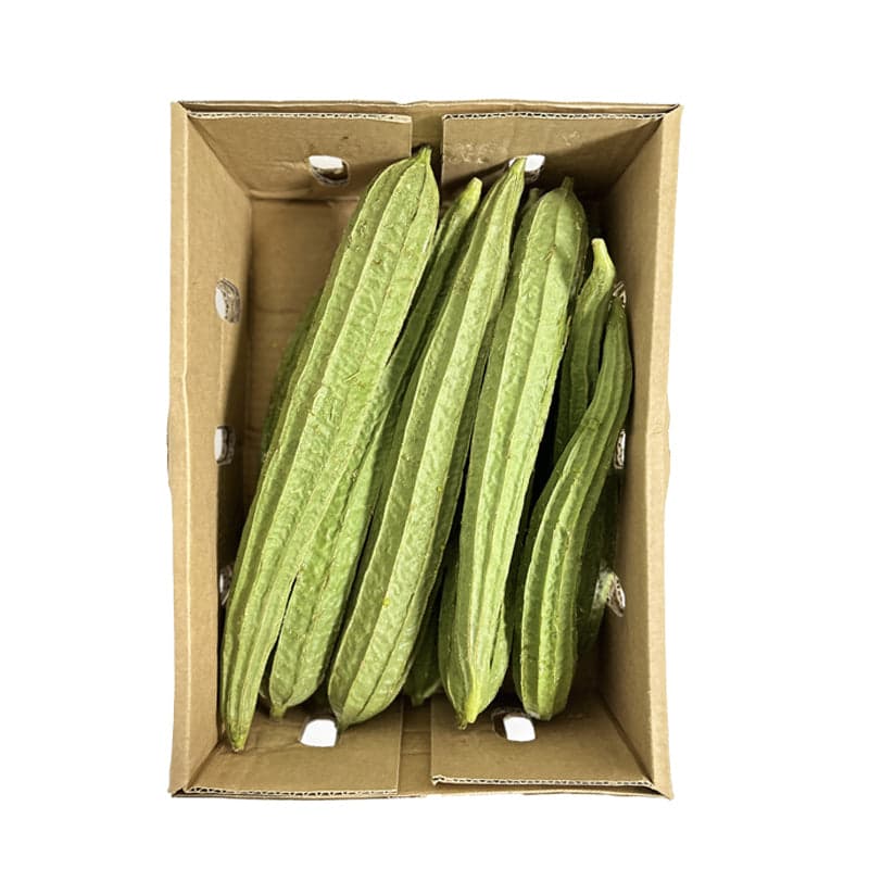 Ridge Gourd
